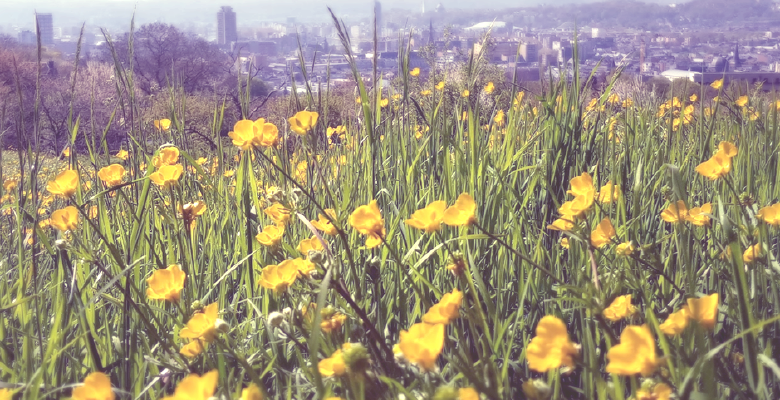 Couverture de l'initiative Comment agir dès maintenant pour la Transition?